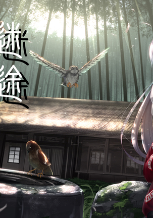 Touhou Paradise Vol. 4 Page #21