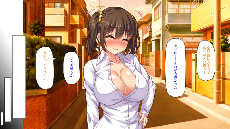 Sex Shika Asobi ga Nai Machi