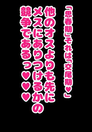 Image 11001250
