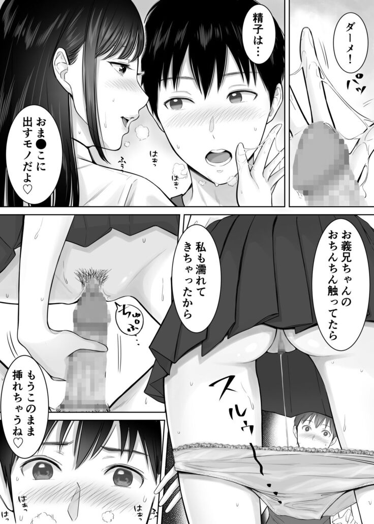 妻の為に溜めた子作り精子を義妹のJKマ●コに流し込んでしまった僕。