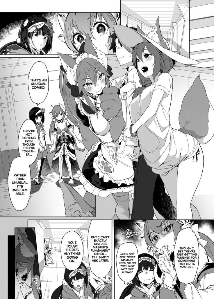 Hatsujou Cat Fight