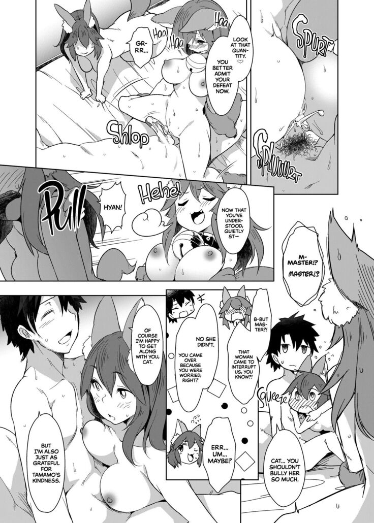 Hatsujou Cat Fight