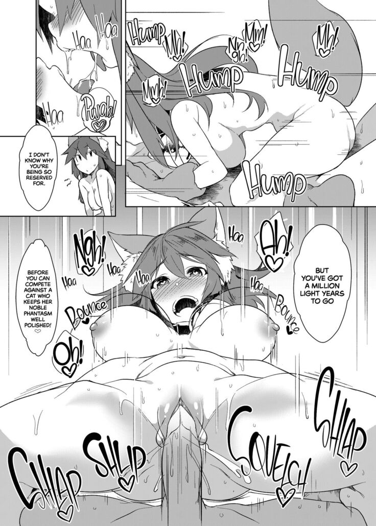 Hatsujou Cat Fight