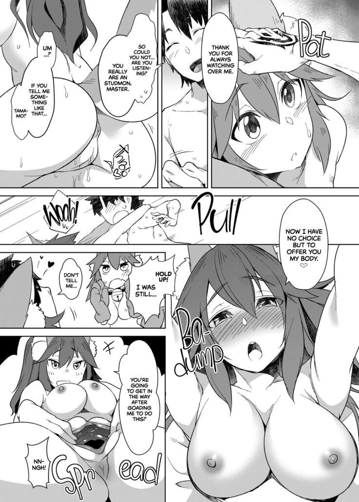 Hatsujou Cat Fight
