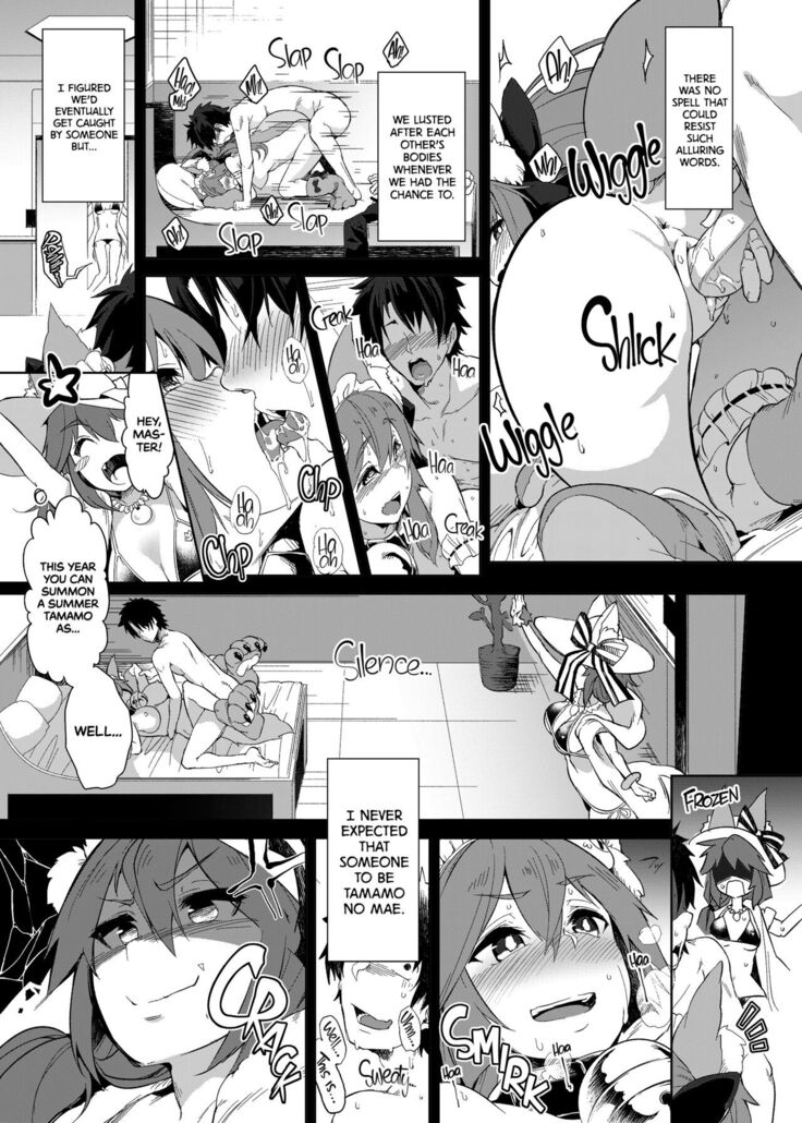 Hatsujou Cat Fight