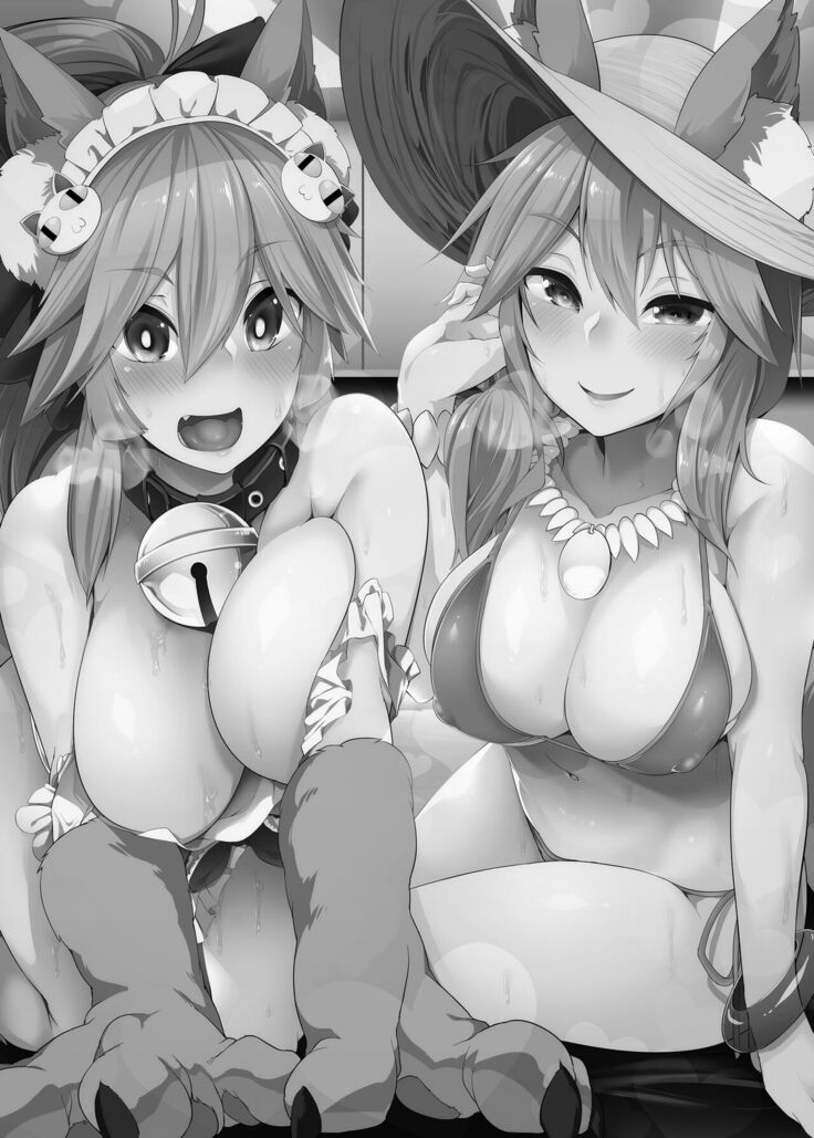 Hatsujou Cat Fight