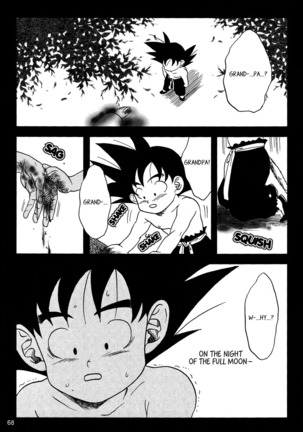 Dragon Ball dj – Muimi na Kiiro 3 Page #66