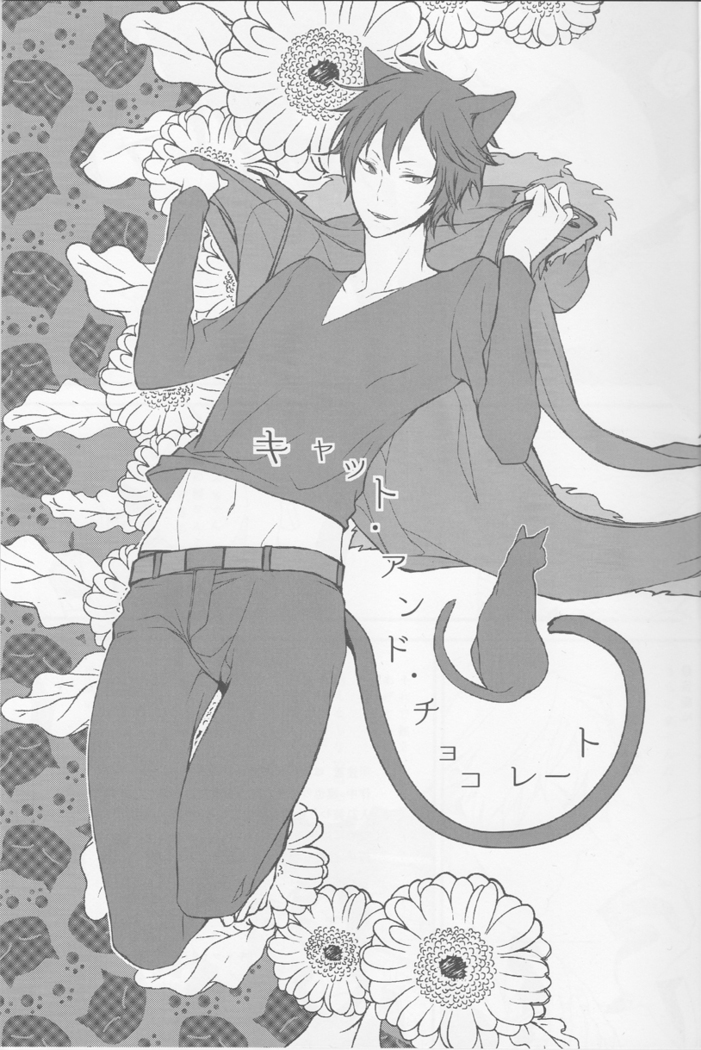 Cat&Chocolate - Durarara doujinshi  Japanese