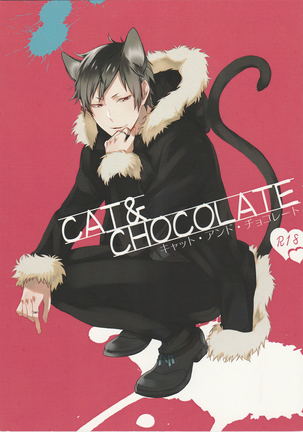 Cat&Chocolate - Durarara doujinshi  Japanese