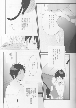 Cat&Chocolate - Durarara doujinshi  Japanese Page #33