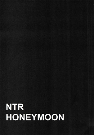 NTR Shinkon Ryokou | NTR Honeymoon Page #74