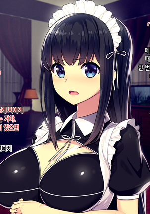 Kekkon no Mae ni Ichido Dake... Yakata no Aruji ni Netorareta Fiancee no Uso Page #25