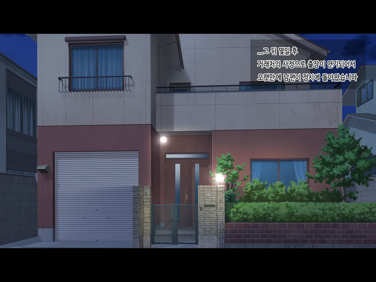 Seiso na Yokkyuu Fuman Zuma ~Otto ni Himitsu de Fuuzoku Gayoi!?~