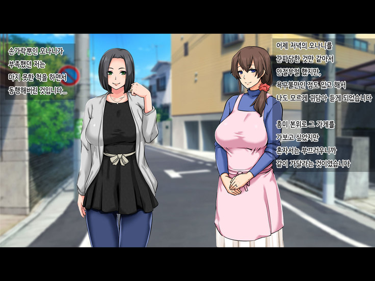Seiso na Yokkyuu Fuman Zuma ~Otto ni Himitsu de Fuuzoku Gayoi!?~