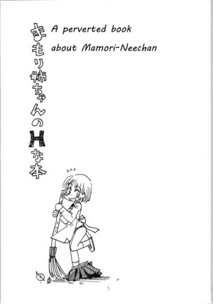 A perverted book about Mamori-neechan | Mamori Nee-chan no H na Hon - Page 3