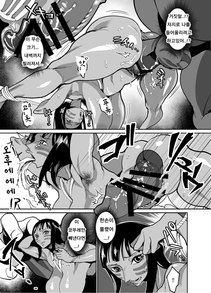 Nico Robin no Ibunka Kouyuuroku