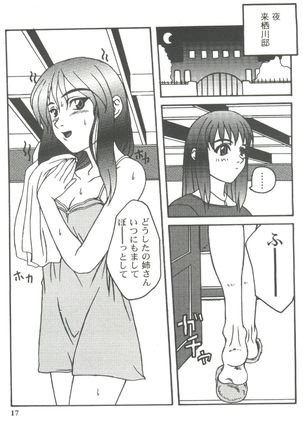 Girl's Parade 99 Cut 11 Page #17