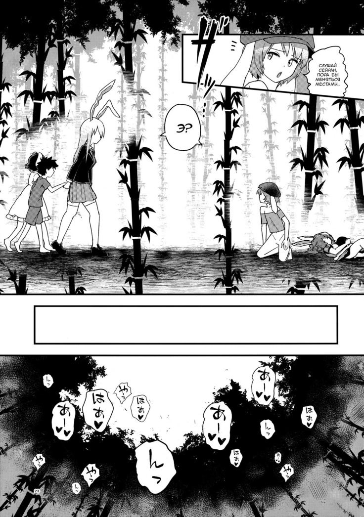 Usagi Usagi Nani Mite Haneru  The Bunnies Won't Stop Hopping
