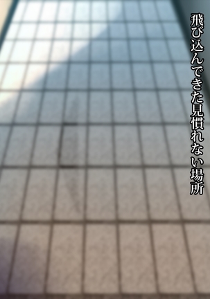 エッチで巨乳な奥さんに癒されよう！ Page #38