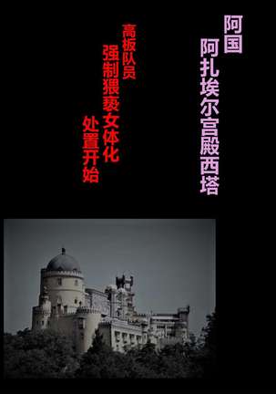 Image 10795354