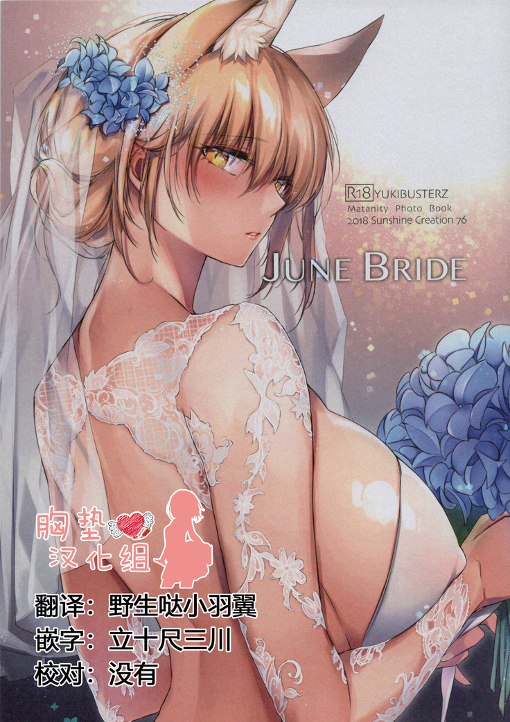 JUNE BRIDE Maternity Photo Book