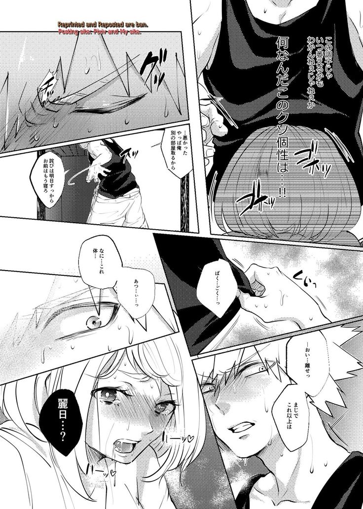 Kedamono Doushi