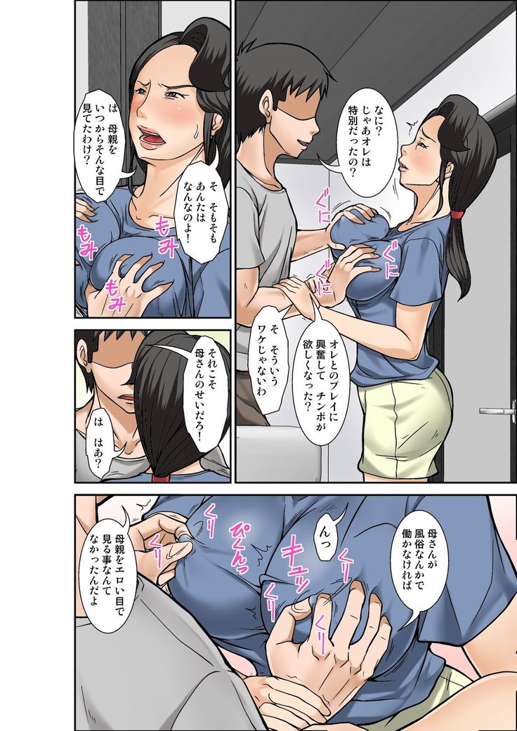 Futsuu no Shufu ga Fuuzoku ni Ochita Riyuu ~Musuko Hen~ Sono San