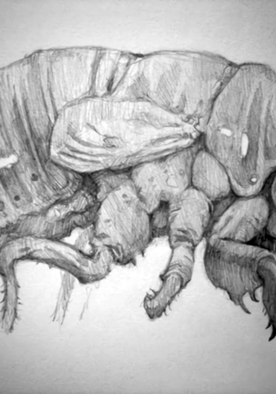 Artist Ben Newman Page #534