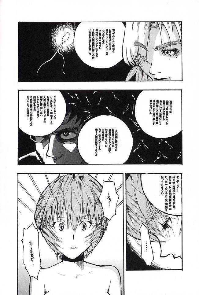 HiEnergy 06