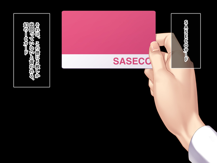 SASECO Card 2 Itsu demo Doko demo Dare to demo Oku made Okashite Sokuhame Charge!