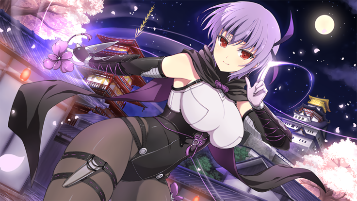 Master Ninja Senran Kagura NEW LINK - Crossover