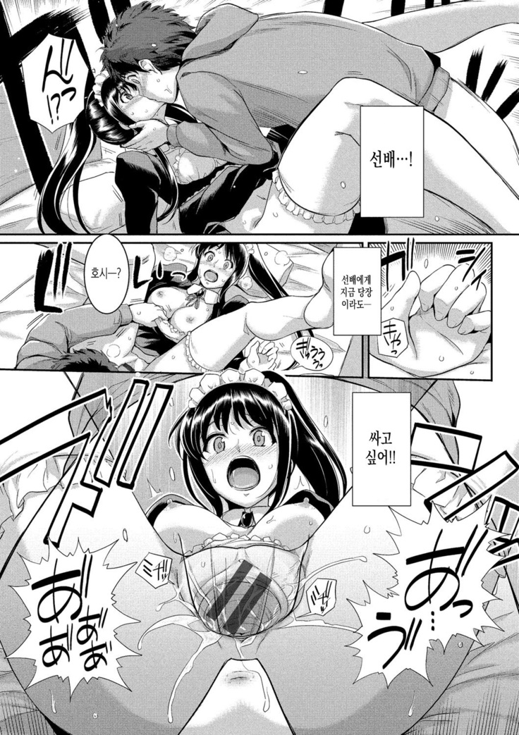 Hatsukoi Chocolate
