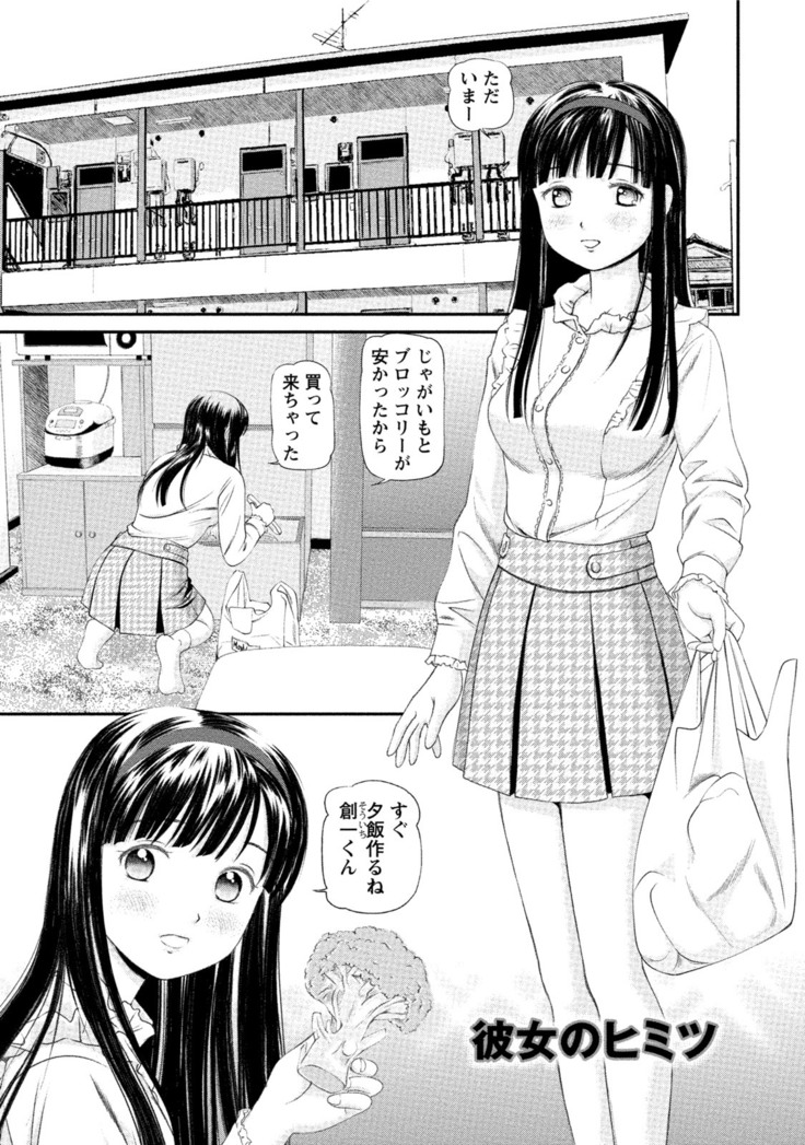 Midara na Kimi no Otoshikata