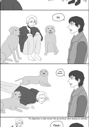 Image 4299567