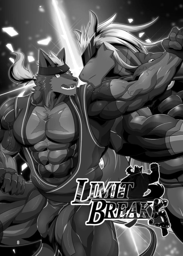 LIMIT BREAK! 5