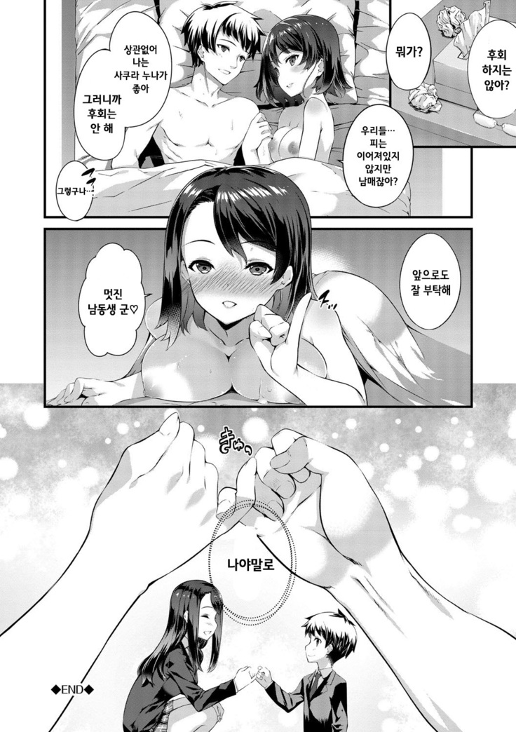 Kimisen