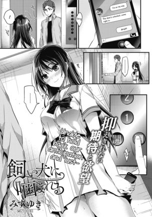 Kaiinu ni Kamareru Page #1