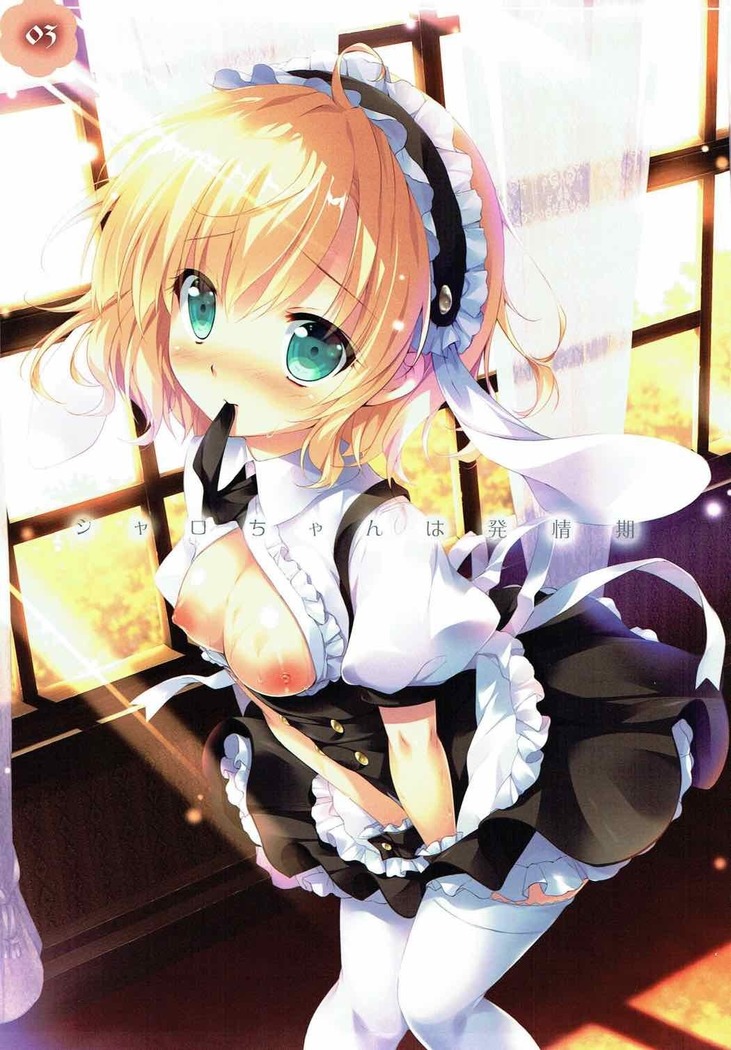 Sharo-chan wa Hatsujouki