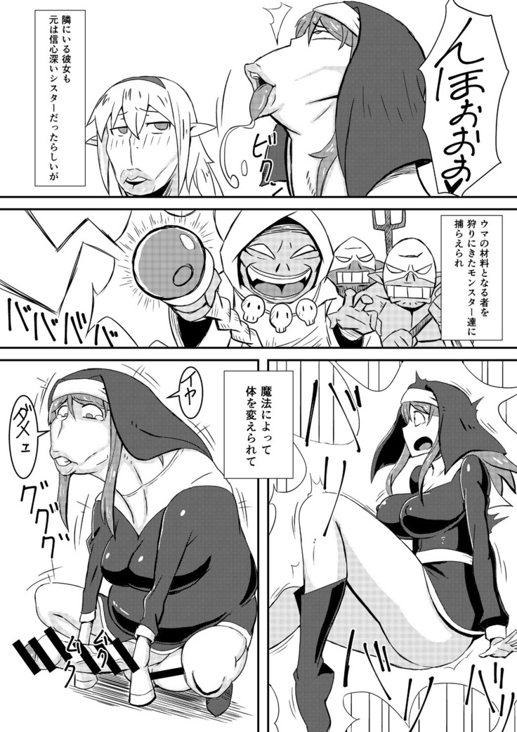 Queen's Stallion  クイーンズスタリオン