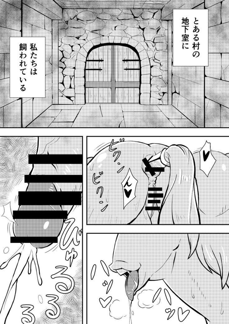 Queen's Stallion  クイーンズスタリオン