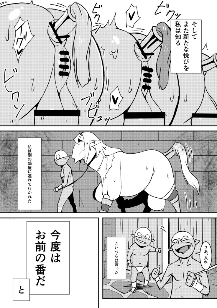 Queen's Stallion  クイーンズスタリオン