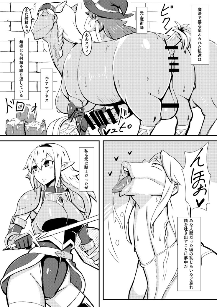 Queen's Stallion  クイーンズスタリオン