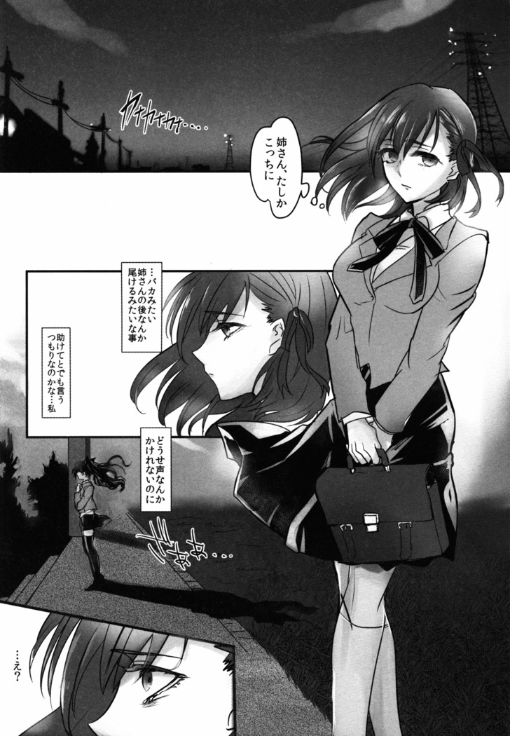 Nee-san, Watashi Zutto Anata no Koto Daikirai deshita