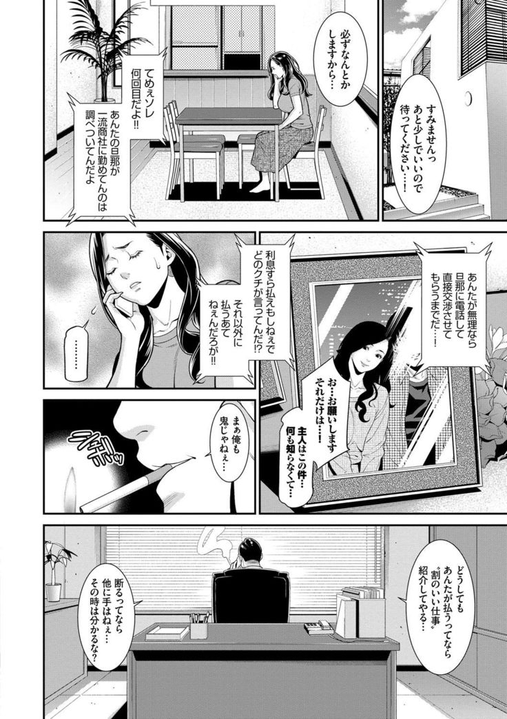 Hitozuma no Himitsu - Secret Wife