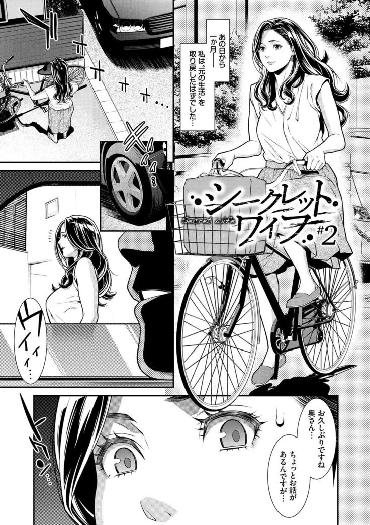 Hitozuma no Himitsu - Secret Wife