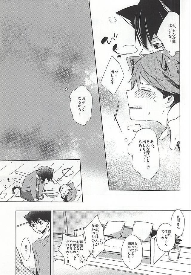 Neko ni Natta Oikawa-san