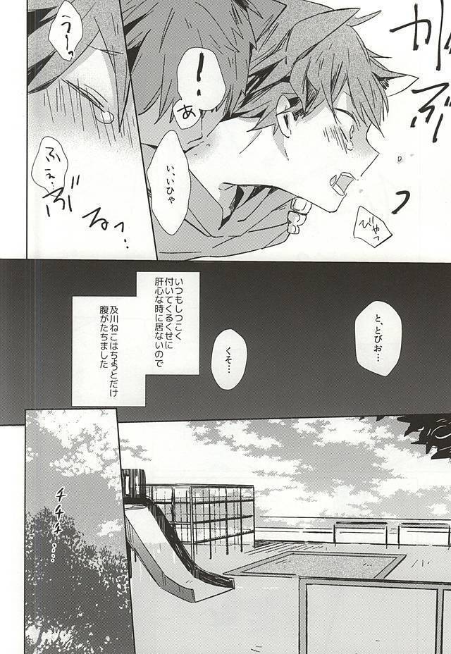 Neko ni Natta Oikawa-san