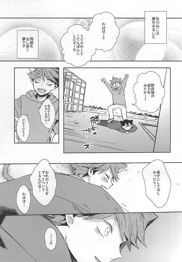 Neko ni Natta Oikawa-san