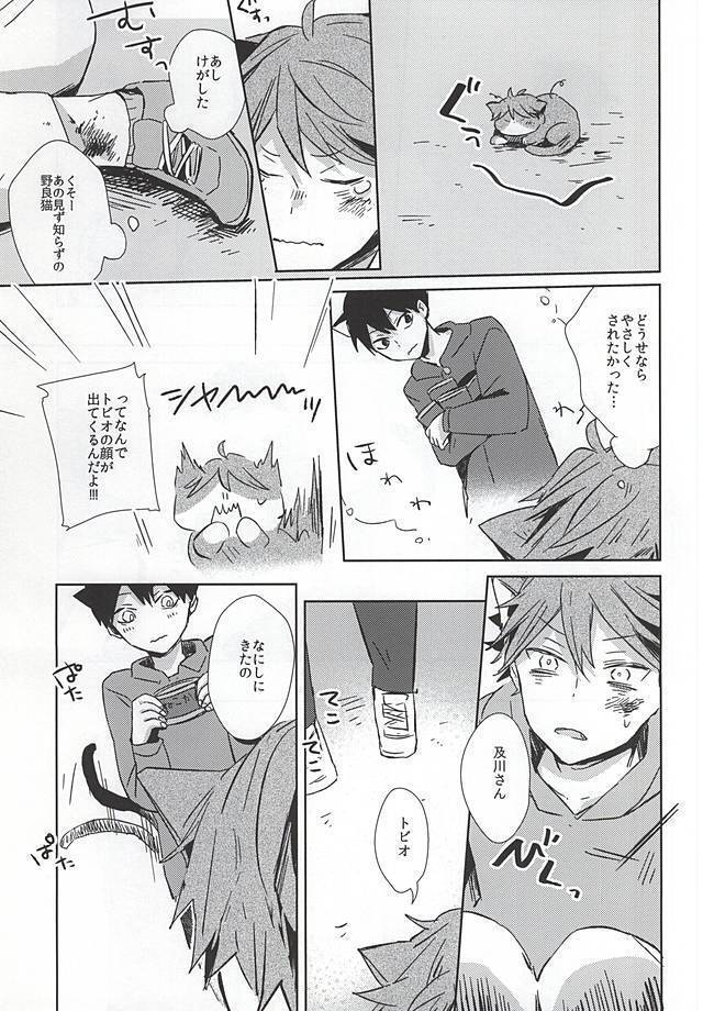 Neko ni Natta Oikawa-san