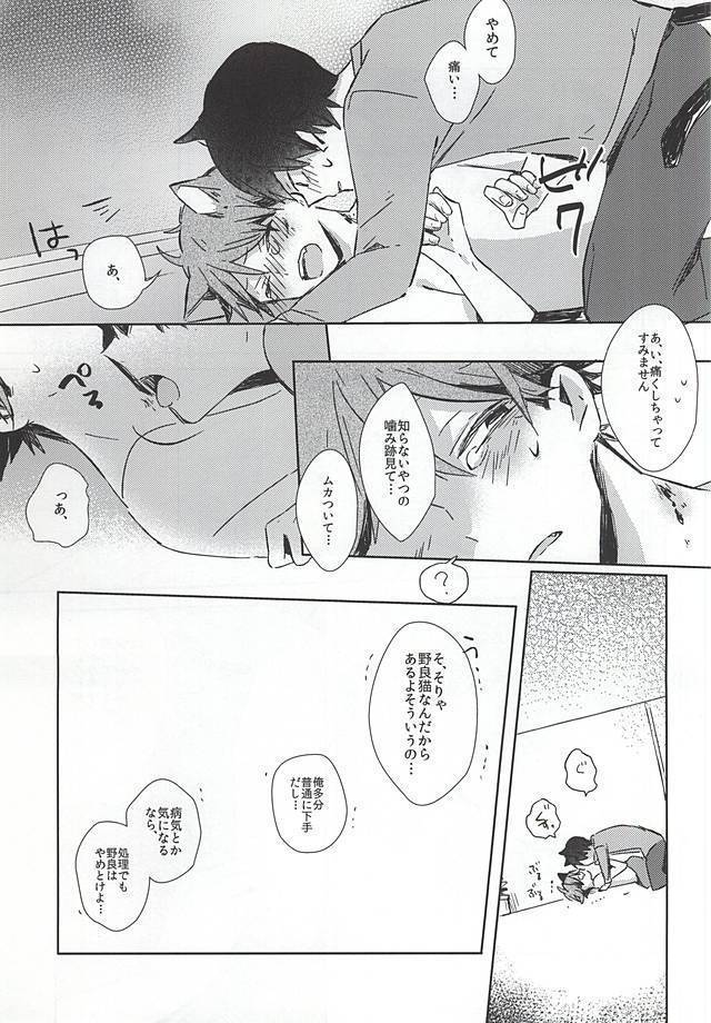 Neko ni Natta Oikawa-san
